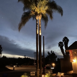 Photo of Four Seasons Landscaping