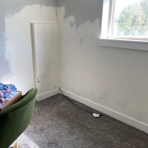 Photo of Five Point Restoration