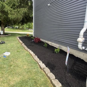 Dublin MagaÃ±as Landscaping