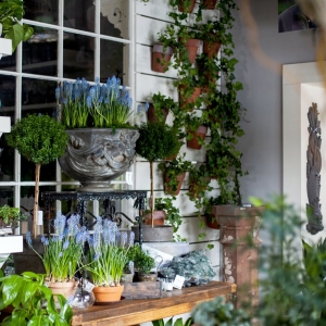 Photo of Fleurdetroit