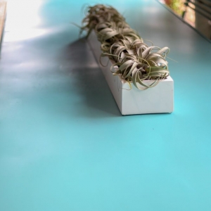 Photo of Fleurdetroit