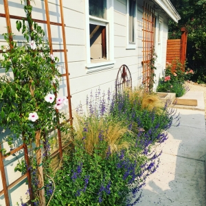 Photo of Evolve Exteriors Landscape Design & Installation