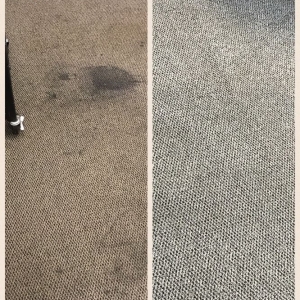 Photo of Spotlight Janitorial
