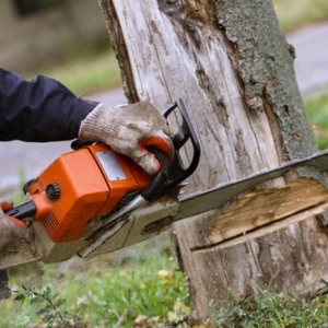 Photo of York Landscaping & Tree Service