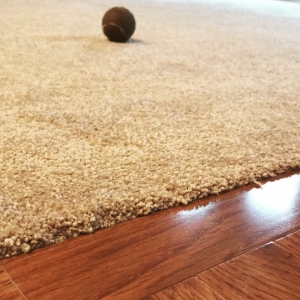 Photo of Virgin Flooring