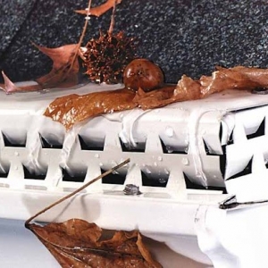 Photo of Beyond Gutters