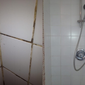 Photo of Star Domestic Cleaners