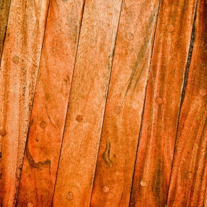 Photo of Five Star Flooring Store