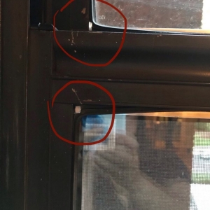 Photo of Master Window Repair