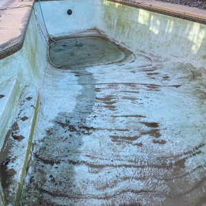 Photo of Summerlin Hills Pool Service