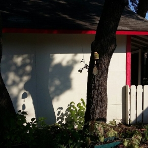Photo of Danny's Handyman Services