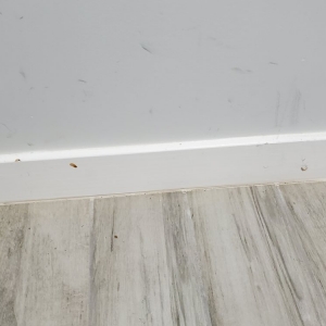Photo of Yesenia Home Cleaning Service