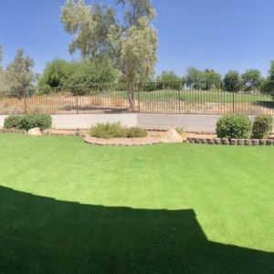 Scottsdale arcadia turf