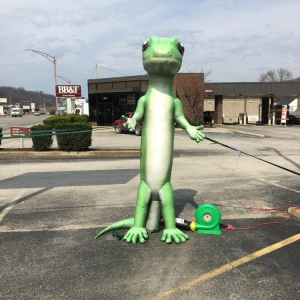 Photo of Steve Robinson - GEICO Insurance Agent