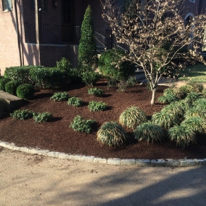 Photo of Franklin Pools and Landscaping