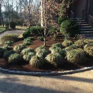 Photo of Franklin Pools and Landscaping