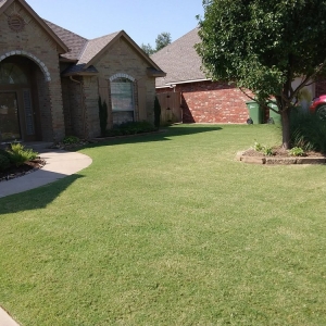 Photo of Budget Home Care