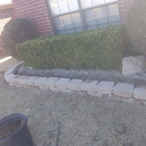 Photo of Budget Home Care