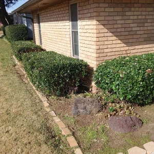 Photo of Budget Home Care