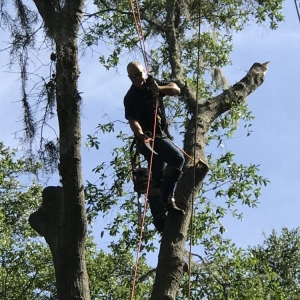 Photo of Dunkle's Tree Service
