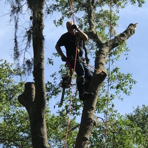 Photo of Dunkle's Tree Service