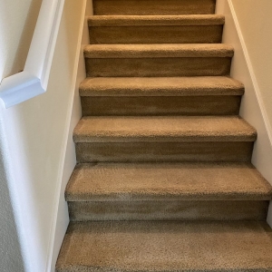 Chino Extreme Carpet Care
