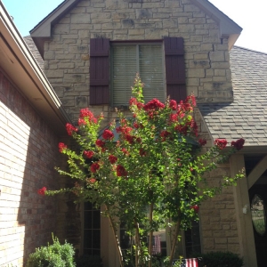 Photo of Royal Pane Window Cleaning