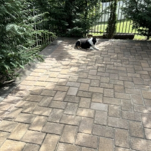 Photo of Loffreno Landscape Contracting