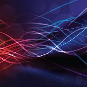 Charlotte Connection Consulting