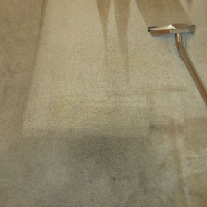 Photo of Grateful Ted's Carpet and Tile Cleaning