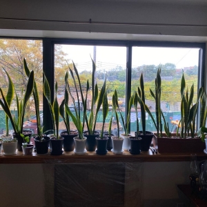 Photo of Empire Window Cleaning