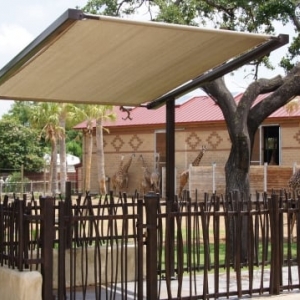 Photo of Southern Shade Structures