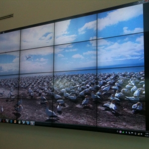 Photo of Audio Advantage