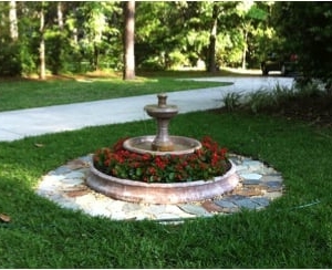 Photo of Arborscape Tree Beautification