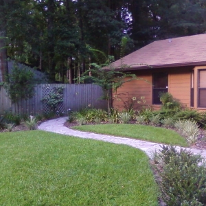 Photo of Arborscape Tree Beautification