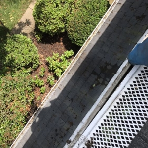 Pittsburgh TY-D Window Cleaning