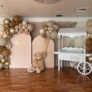 Photo of Posh Balloon Studio