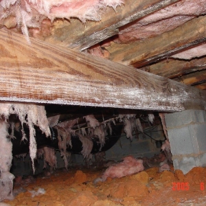 Matthews Fresh Air Technologies