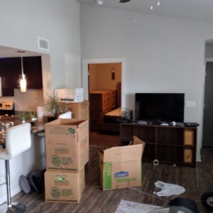 Photo of GP Moving & Packing