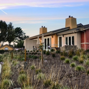Photo of K & D Landscaping