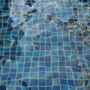 Photo of The Pool Pros