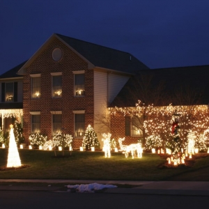 Photo of Greenforce Outdoor Light