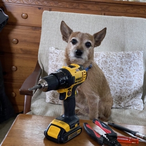 Bertram Affordable Subcontractor Best Priced Handyman