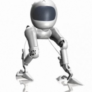 Photo of ZM Interactive