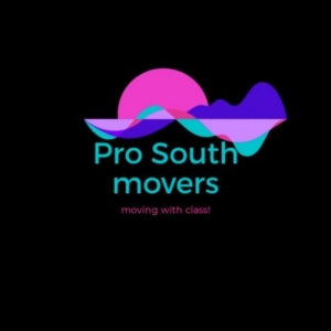 Photo of Pro South Movers Family Moving Services