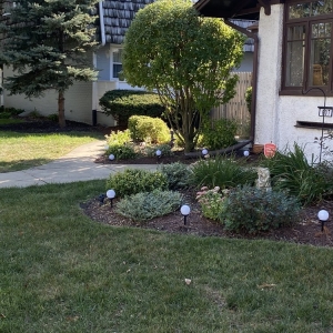Joliet Dirty Deed's Lawn & Landscaping