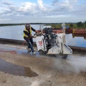 Photo of Lion Cutting and Construction
