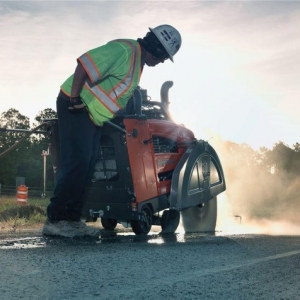 Photo of Lion Cutting and Construction