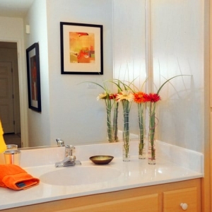 Photo of eaves Daly City