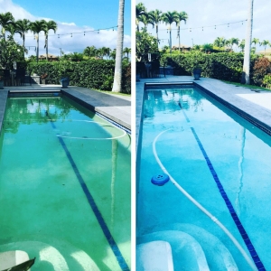 Photo of Pool Services and Cleaning
